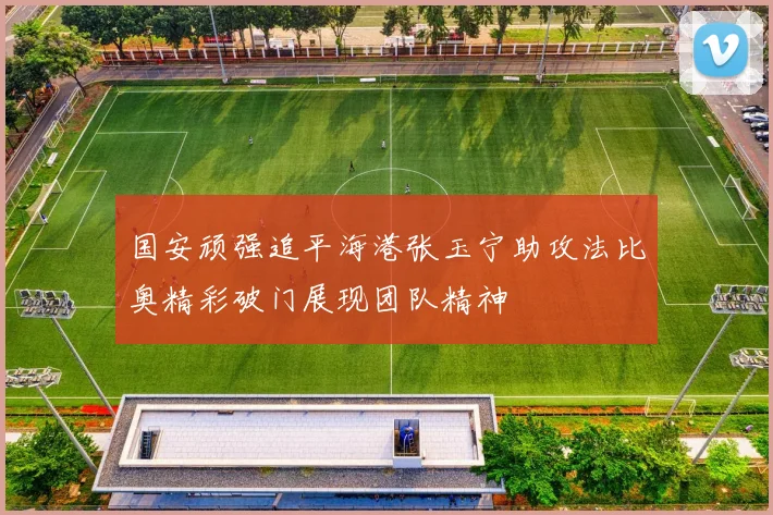 国安顽强追平海港张玉宁助攻法比奥精彩破门展现团队精神