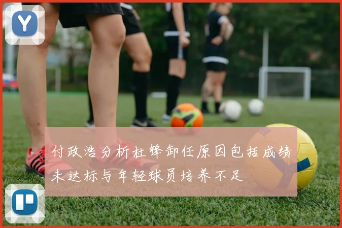 付政浩分析杜锋卸任原因包括成绩未达标与年轻球员培养不足